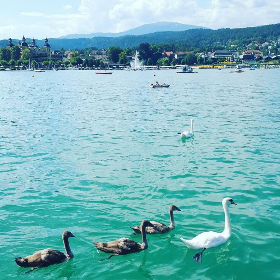Superior-Apartment mit Pool und Seezugang Velden am Wörthersee Exterior foto